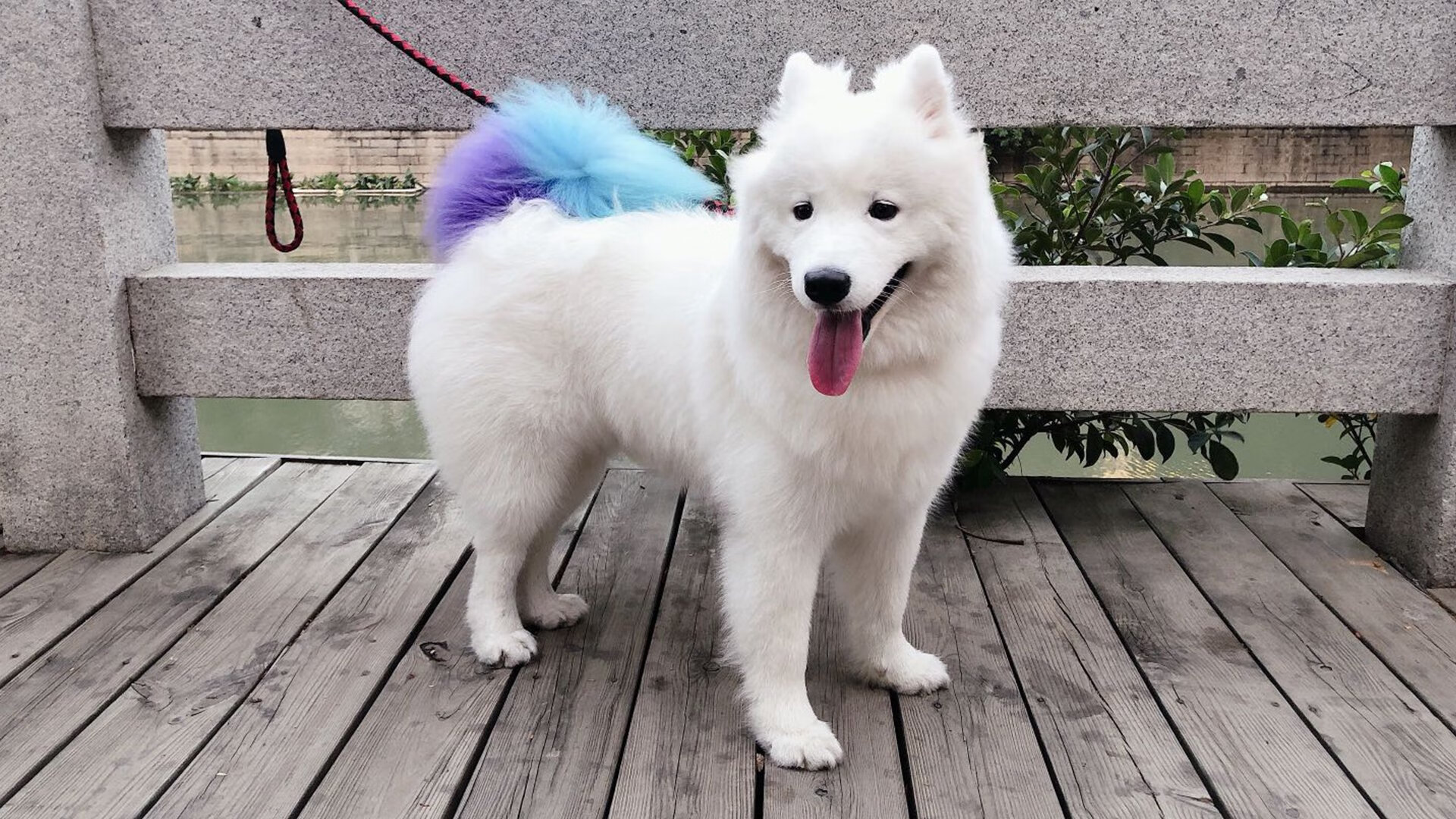 球队是否利用中圈区域制造节奏调控点