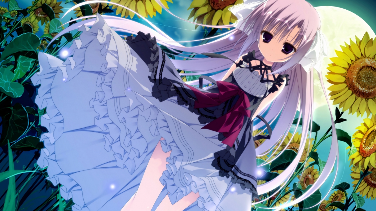 美国蛙泳高频率划水值得关注，顶级蛙泳技术