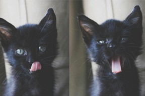 开云官网入口-主教练能否巧妙运用暂停干扰对方节奏布局，主教练停职