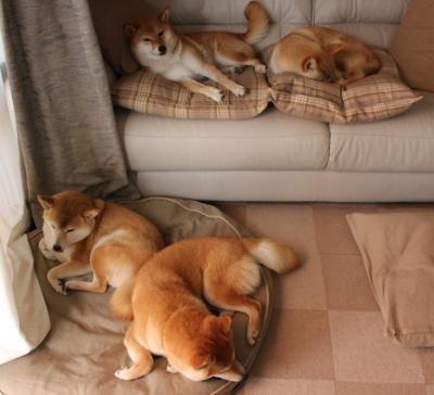 中国男篮为何仍难突破亚洲强队壁垒,中国男篮为什么要打亚洲杯预选赛