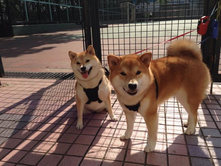 天津男篮主打速度快攻风格独树一帜，天津男篮战绩
