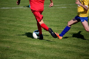 开云体育官方网站-LPL多个队伍重组计划曝光转会期极度混乱，lpl战队转会期