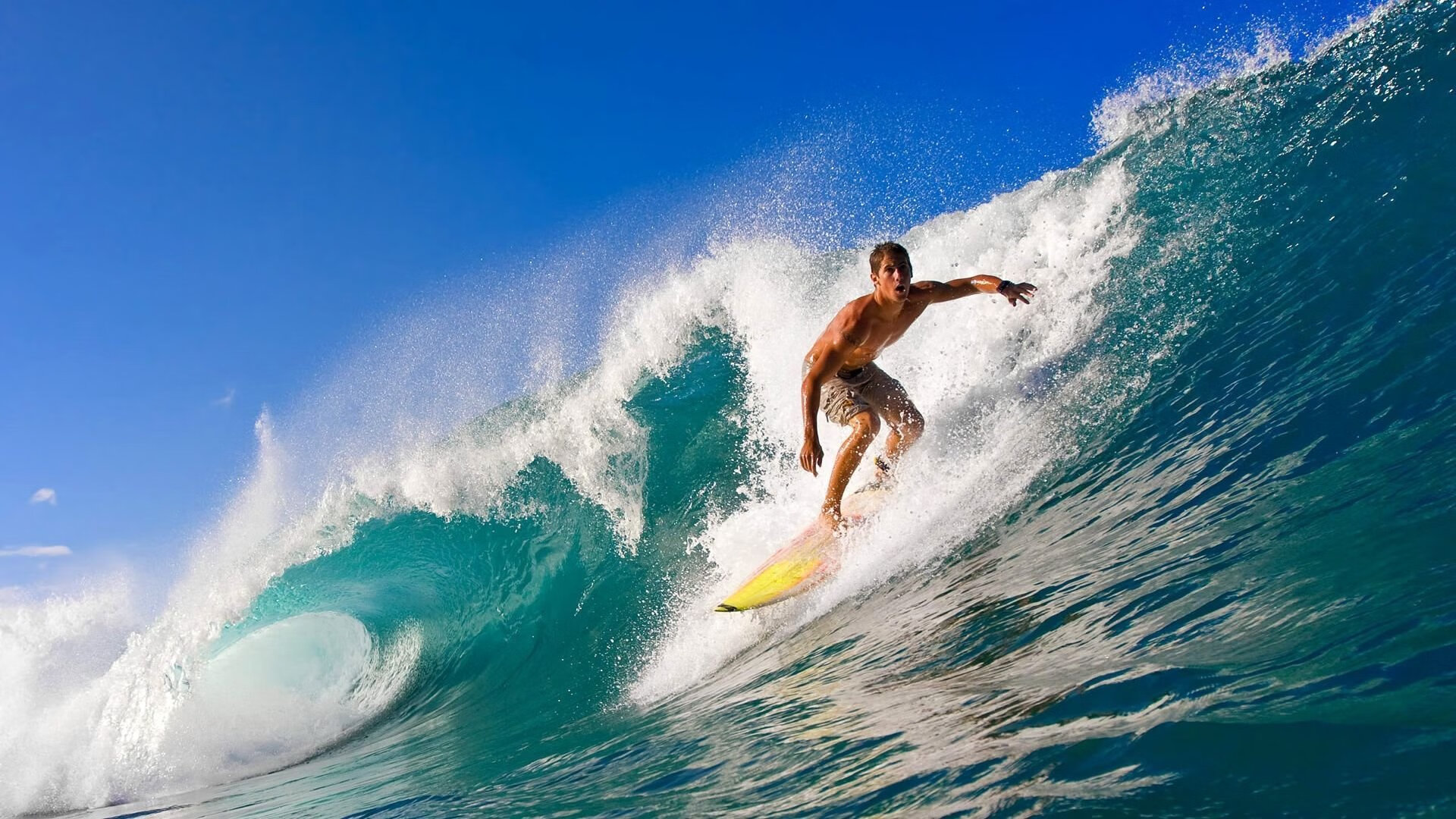 中国举重队备战奥运资格赛，力争锁定多个名额，中国举重队共获得几块奥运奖牌